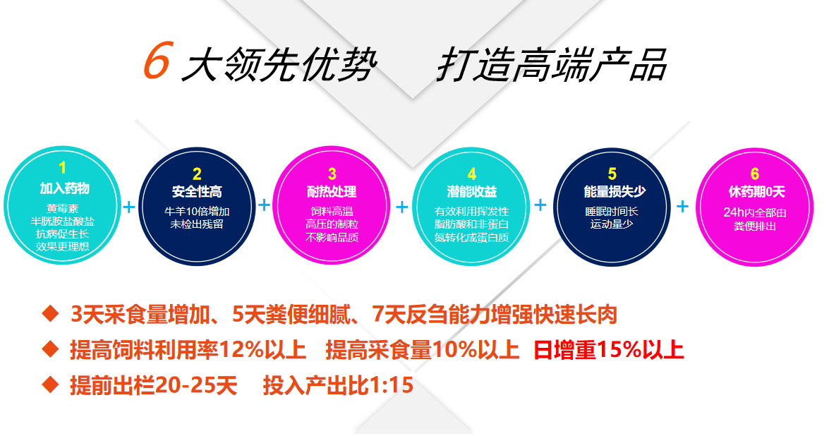 牛羊養殖技術3