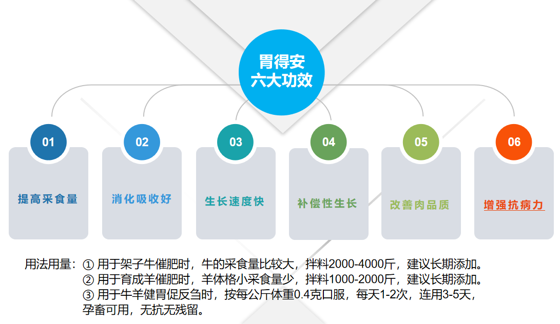 牛羊養殖技術