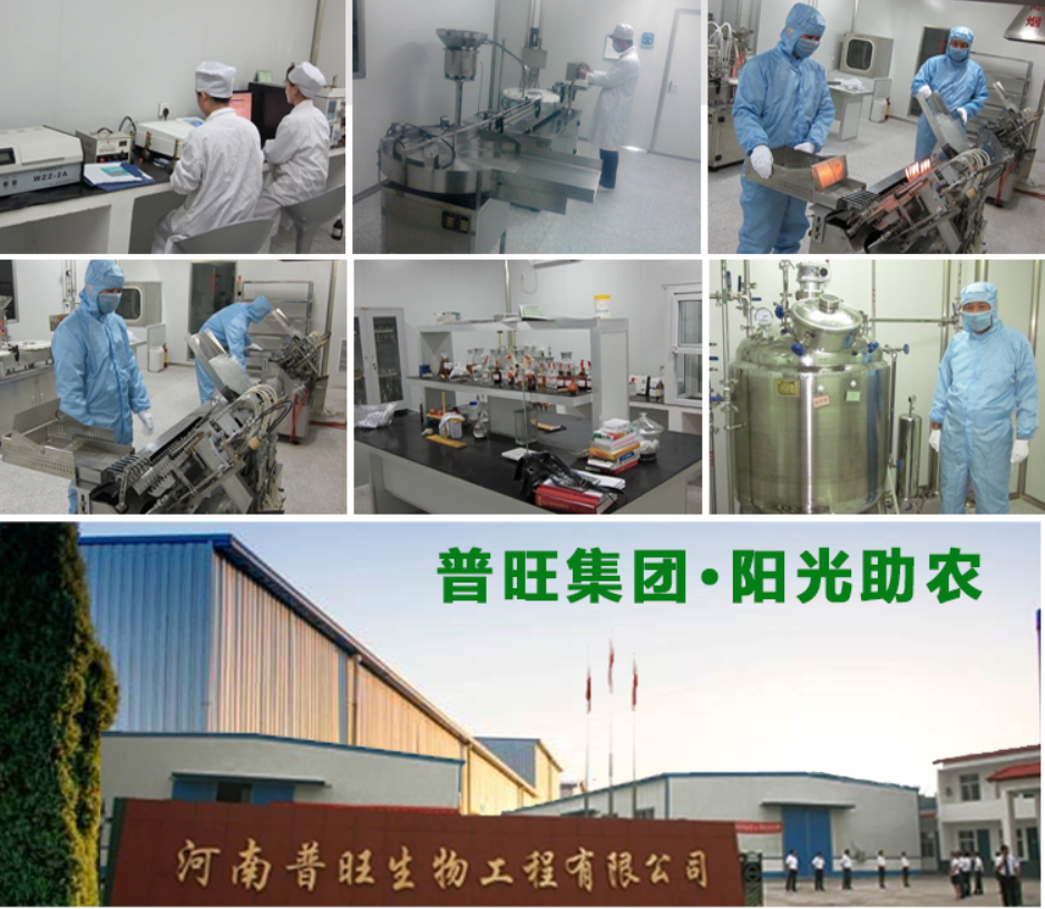 河南省新鄉市平原新區馬井工業園普旺獸藥生產基地
