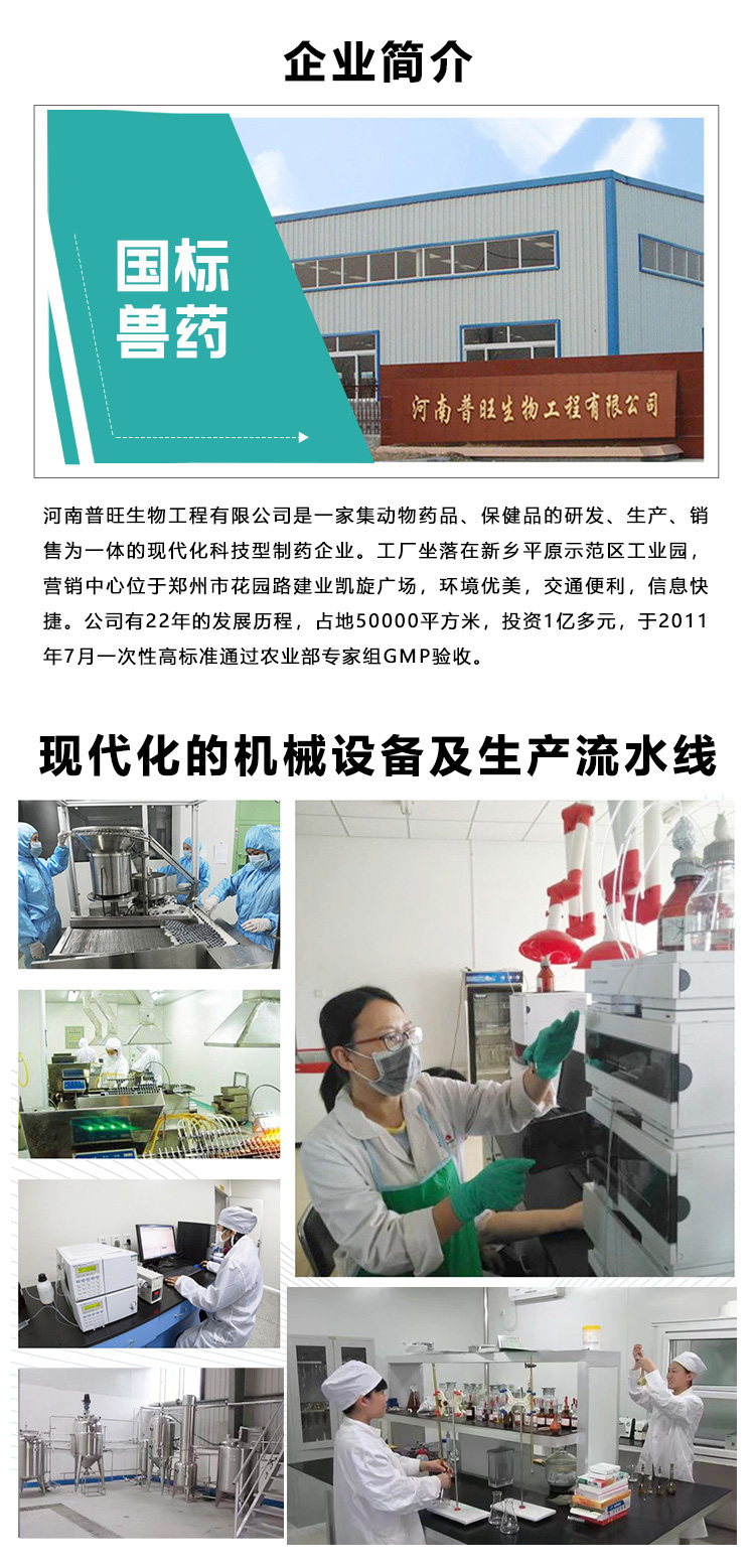 企業簡介