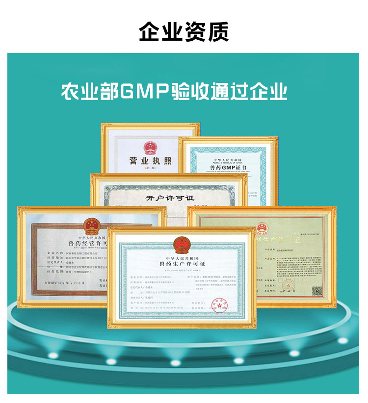 企業資質4